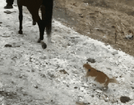 Acid Gifdump, January 16 (25 gifs)