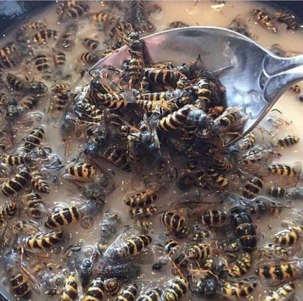 WTF Photos (33 pics)
