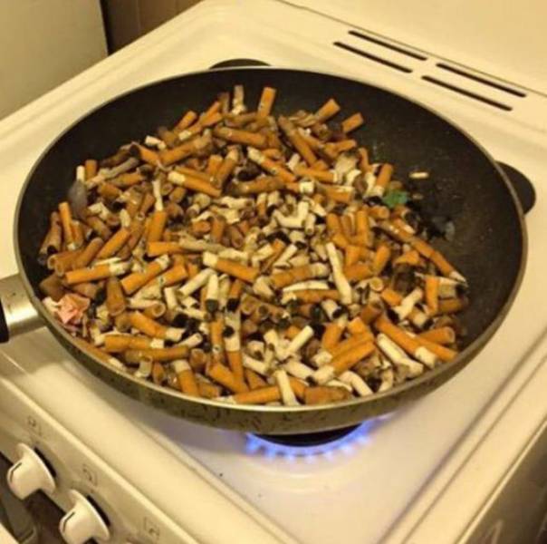 WTF Photos (33 pics)