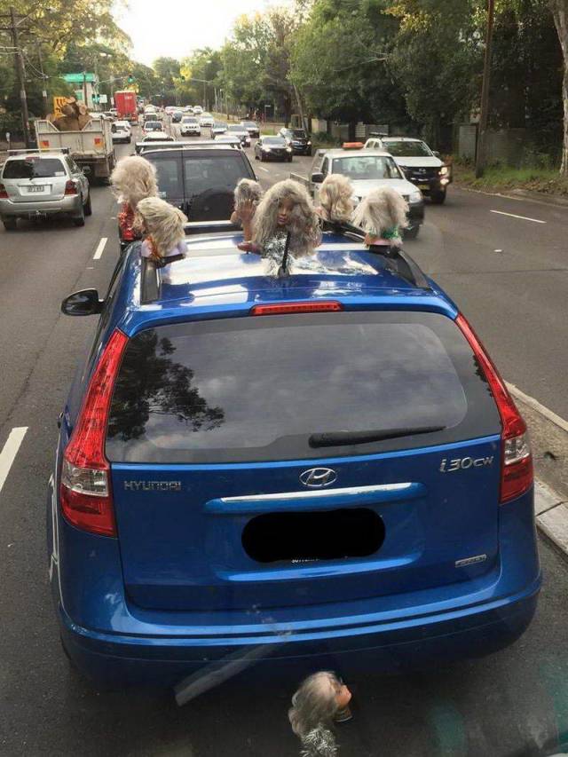 WTF Photos (33 pics)
