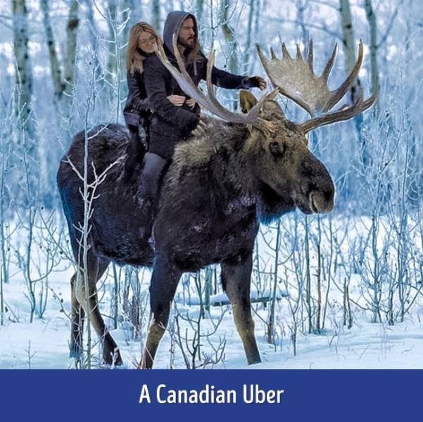 Only In Canada (39 pics)