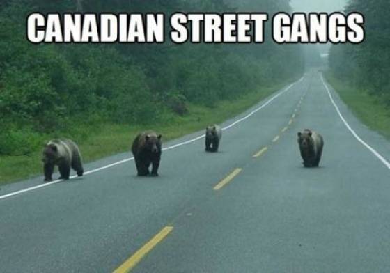 Only In Canada (39 pics)