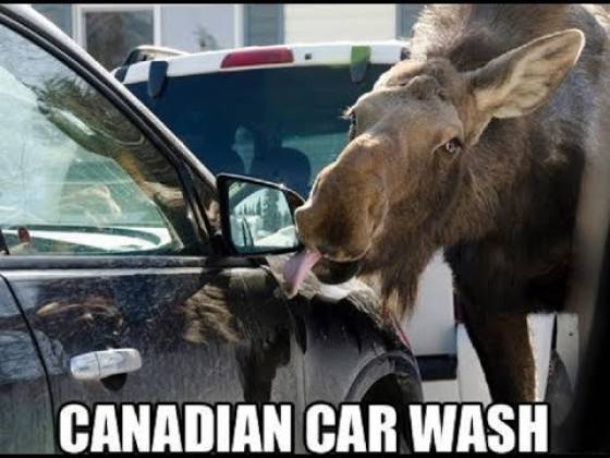 Only In Canada (39 pics)