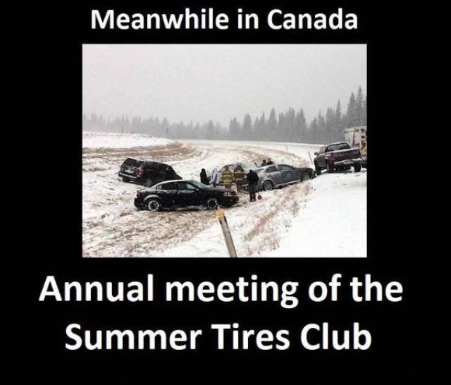 Only In Canada (39 pics)