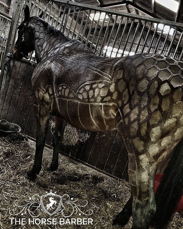 Hairdresser Turns Horses Into Living Works Of Art (7 pics)