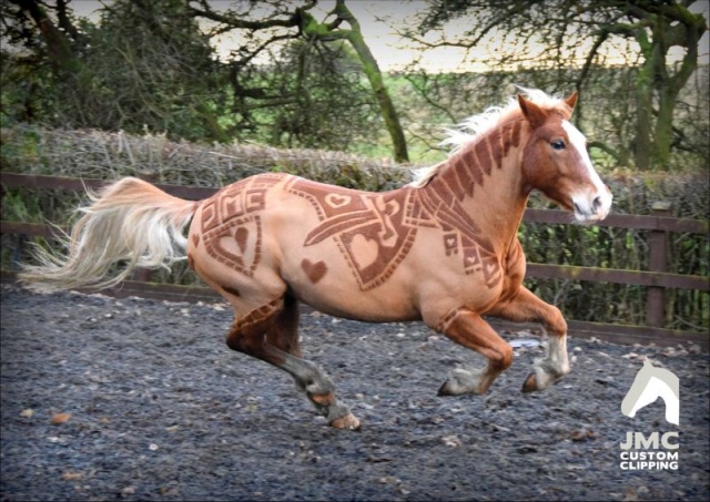 Hairdresser Turns Horses Into Living Works Of Art (7 pics)
