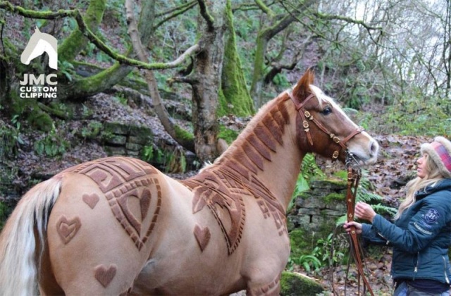 Hairdresser Turns Horses Into Living Works Of Art (7 pics)
