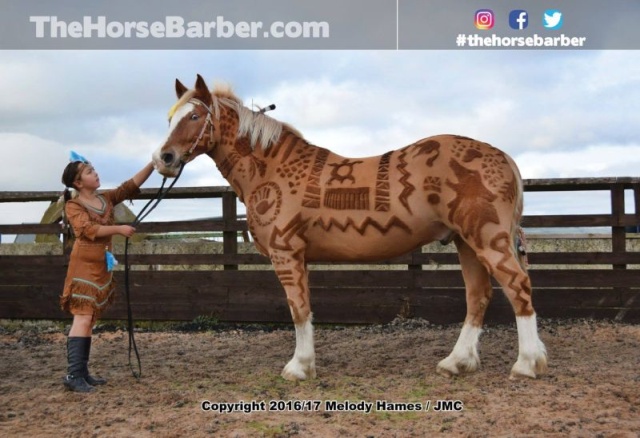 Hairdresser Turns Horses Into Living Works Of Art (7 pics)