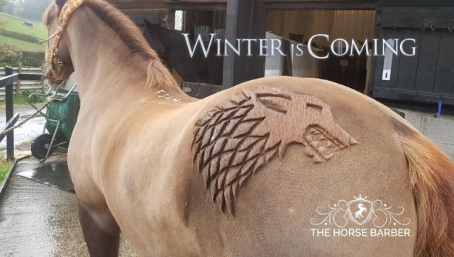 Hairdresser Turns Horses Into Living Works Of Art (7 pics)