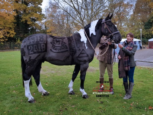 Hairdresser Turns Horses Into Living Works Of Art (7 pics)