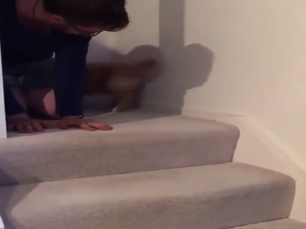 Look At This Scared Little Floof