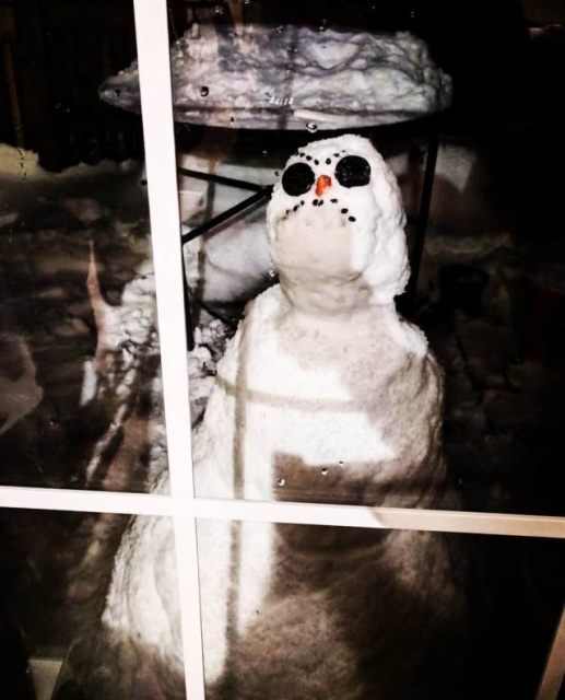 Acid Picdump (92 pics)