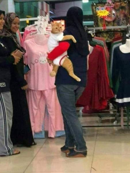 Acid Picdump (92 pics)