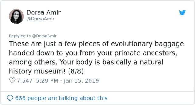 Evolutionary Leftovers That Do Not Serve Any Purpose (6 pics)