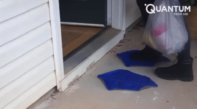 Acid Gifdump, January 18 (25 gifs)