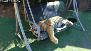 Acid Gifdump, January 18 (25 gifs)