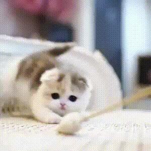 Acid Gifdump, January 18 (25 gifs)