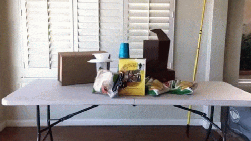 Acid Gifdump, January 18 (25 gifs)