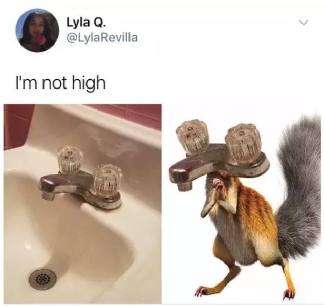 High People Are Funny People (18 pics)
