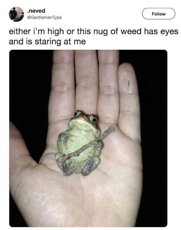 High People Are Funny People (18 pics)