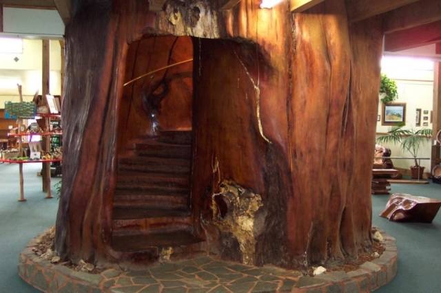 Acid Picdump (90 pics)