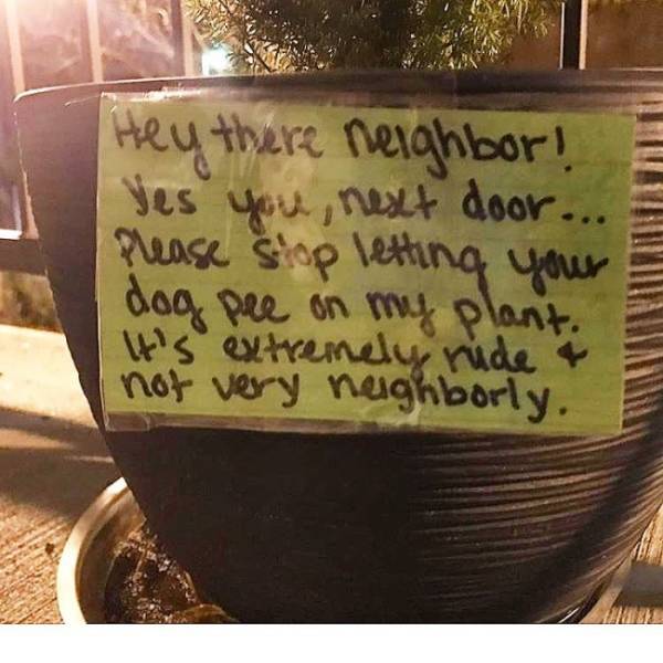 Bad Neighbors (21 pics)