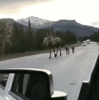 Acid Gifdump, January 21 (25 gifs)