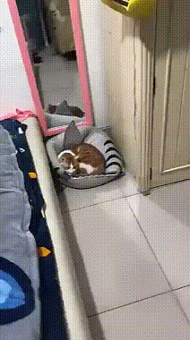 Acid Gifdump, January 21 (25 gifs)