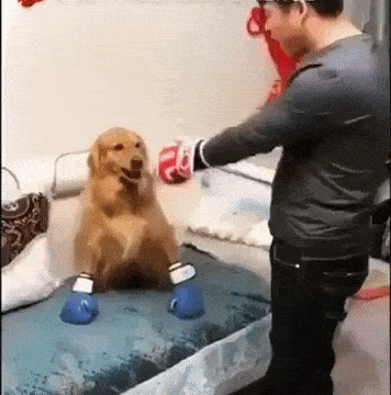 Acid Gifdump, January 21 (25 gifs)