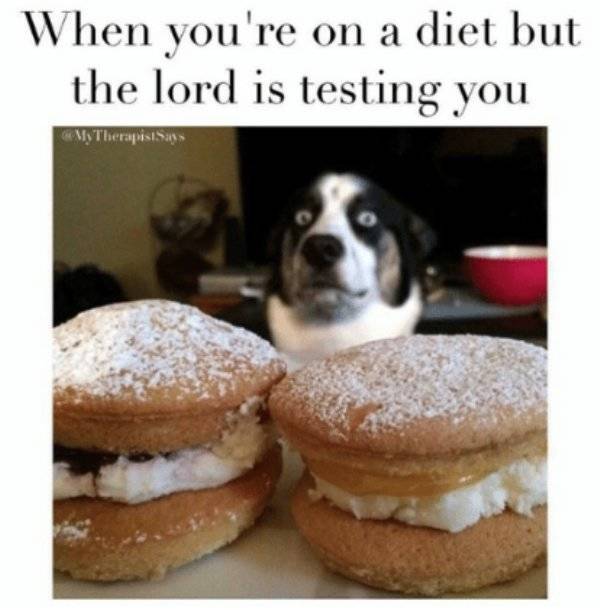 Diet Memes (25 pics)