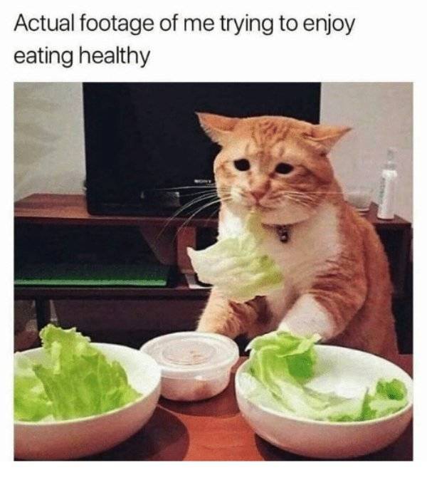 Diet Memes (25 pics)