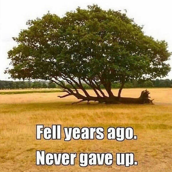 Your Daily Dose Of Motivation (33 pics)