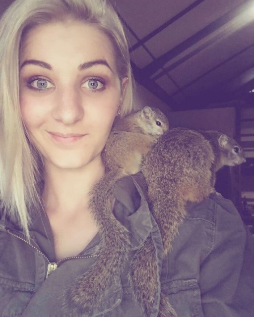 Rescued Squirrel (10 pics)