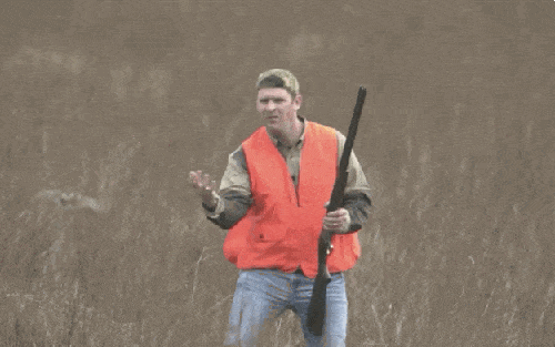 Epic Wins (17 gifs)