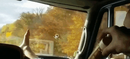 Lazy People (14 gifs)