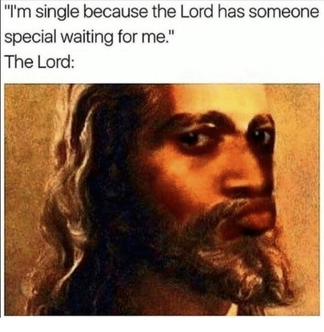 Single Memes (28 pics)