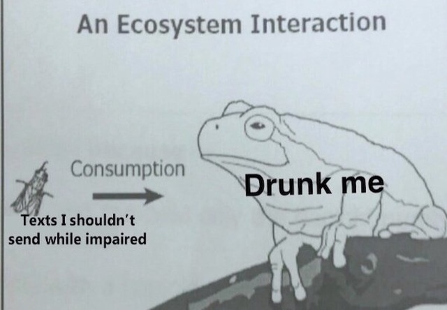 Alcohol Memes (27 pics)