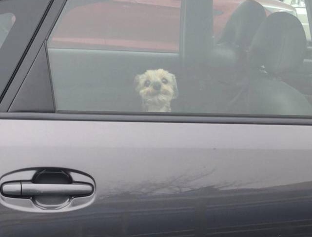 Acid Picdump (94 pics)