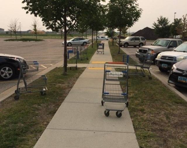 This Is Annoying (30 pics)
