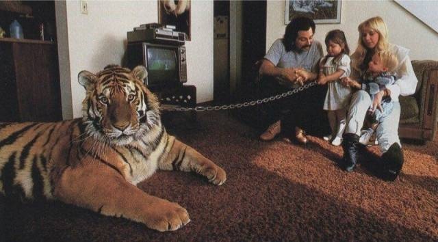 Acid Picdump (90 pics)