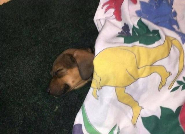Acid Picdump (90 pics)