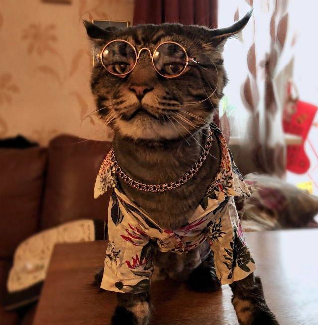 Acid Picdump (90 pics)