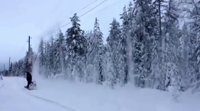 Acid Gifdump, January 24 (25 gifs)