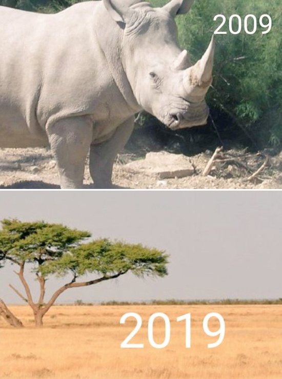 How The Planet Has Changed In 10 Years (5 pics)