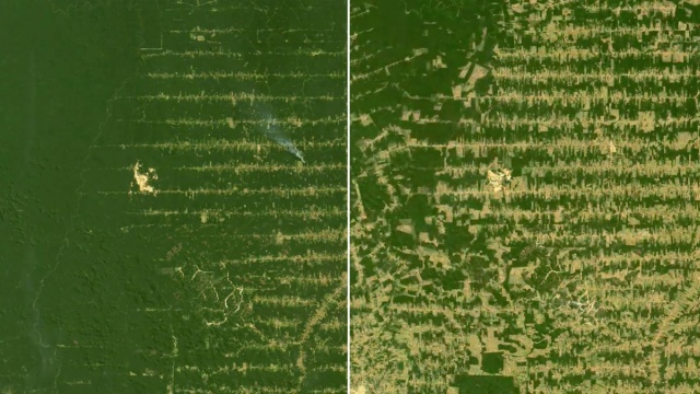 How The Planet Has Changed In 10 Years (5 pics)