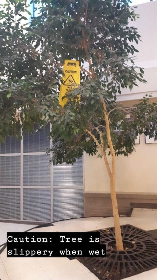 You Had One Job (25 pics)