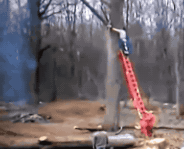Trees Bite Back (22 pics)