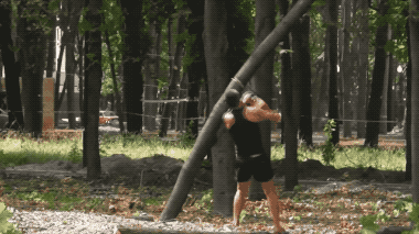 Trees Bite Back (22 pics)