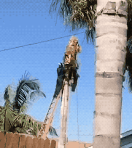 Trees Bite Back (22 pics)
