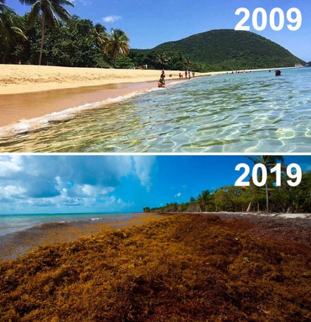 10-Year Challenge In Nature (14 pics)